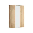 Armoire avec miroir et éclairage 153x223cm WELL